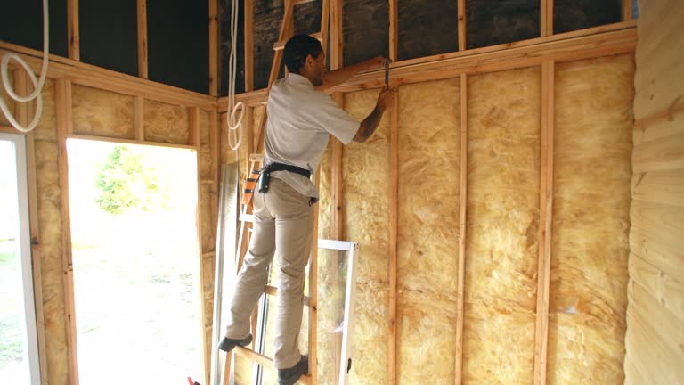 Best Radiant Barrier Insulation  in Lincoln, IL