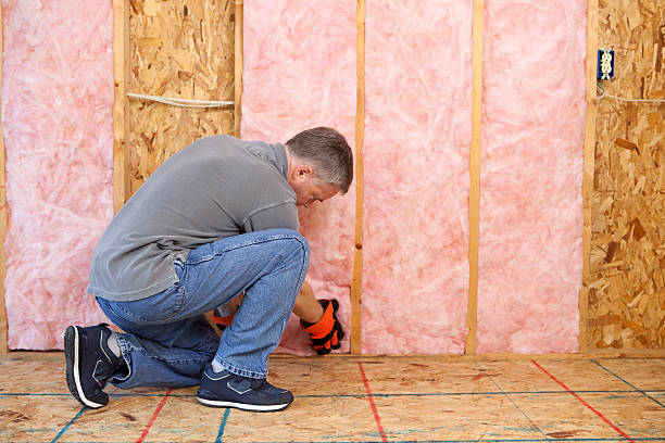 Best Garage Insulation  in Lincoln, IL